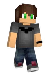 spot3313 Minecraft avatar full body
