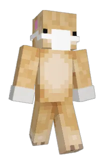 spot80 Minecraft avatar full body