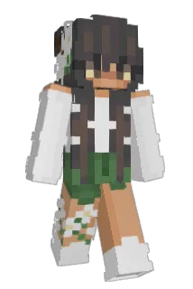springhascome Minecraft avatar full body
