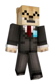 spydercam50O Minecraft avatar full body
