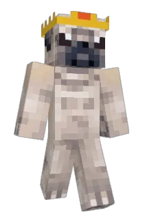 spysam2002 Minecraft avatar full body