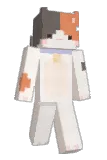 sqtoh Minecraft avatar full body