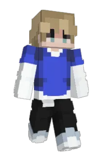 square_88 Minecraft avatar full body