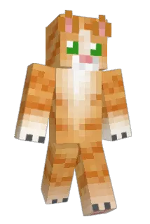 squirtle256 Minecraft avatar full body