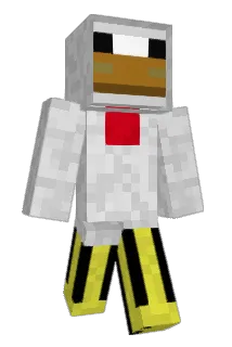 squishychicken23 Minecraft avatar full body