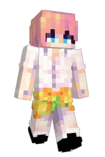 squuigg Minecraft avatar full body