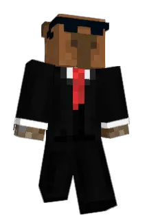 sr_capybara Minecraft avatar full body
