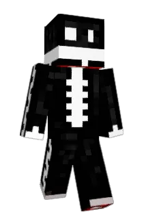 srjiga Minecraft avatar full body
