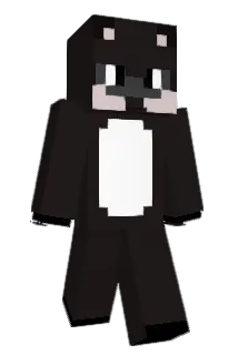 srn7717 Minecraft avatar full body
