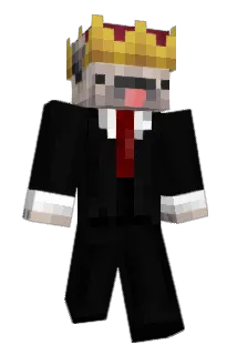 srpunchito Minecraft avatar full body