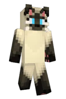 ssallock Minecraft avatar full body