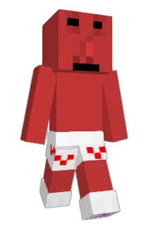 ssaltinn Minecraft avatar full body