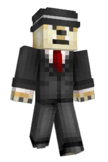 ssfddhs Minecraft avatar full body