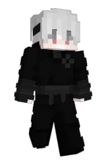 sslsword Minecraft avatar full body