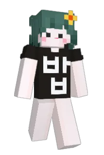ssootrawberry Minecraft avatar full body