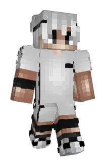 ssqs Minecraft avatar full body
