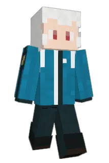 sssion Minecraft avatar full body
