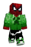sswec Minecraft avatar full body