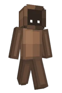 st4rd3st Minecraft avatar full body