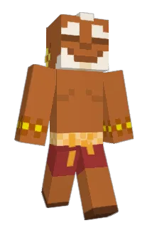 st8coder Minecraft avatar full body