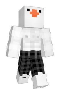 stae0103 Minecraft avatar full body