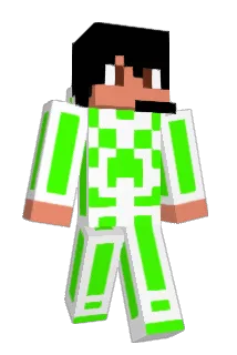 stangasinger Minecraft avatar full body