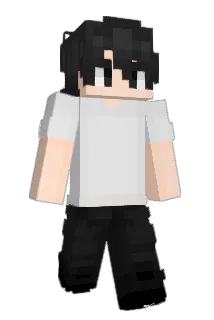 stann_219 Minecraft avatar full body