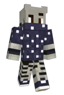 star88 Minecraft avatar full body