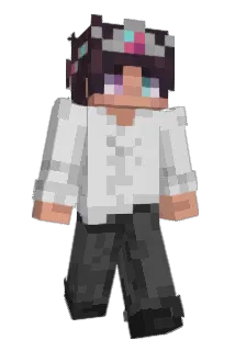 stardip Minecraft avatar full body