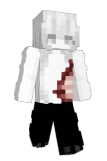 starfull Minecraft avatar full body