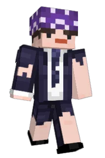 stargazingggg Minecraft avatar full body