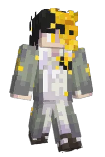 starry4evr Minecraft avatar full body