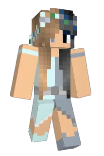 starship4 Minecraft avatar full body