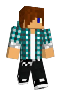 starwatch Minecraft avatar full body