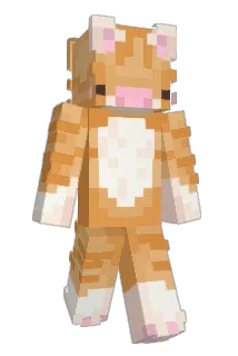 stbz502 Minecraft avatar full body