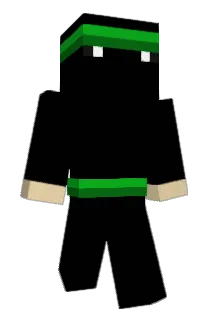 stealthoeli Minecraft avatar full body