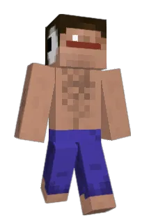 stee_vo Minecraft avatar full body