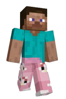 steelyduck Minecraft avatar full body