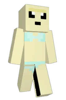 stef0717 Minecraft avatar full body