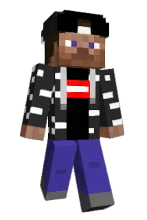 stegggi Minecraft avatar full body