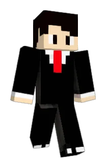 steinhacke Minecraft avatar full body