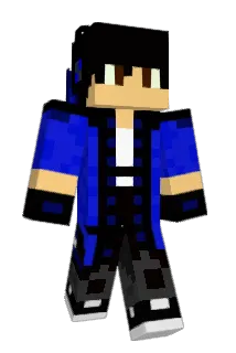 steinifr Minecraft avatar full body