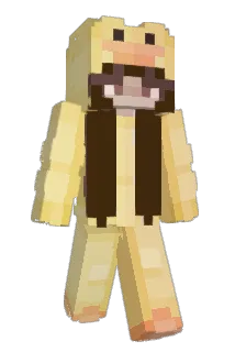stella4life Minecraft avatar full body