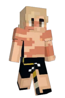 stellaexpo Minecraft avatar full body