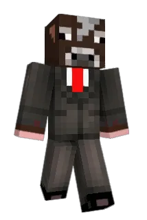 stellakook Minecraft avatar full body