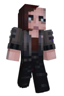 stenseN Minecraft avatar full body