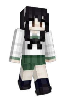 step_hardcat Minecraft avatar full body