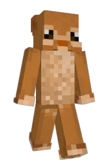 steph8343 Minecraft avatar full body