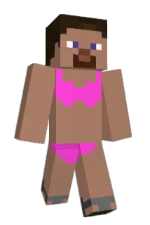 steve6145 Minecraft avatar full body