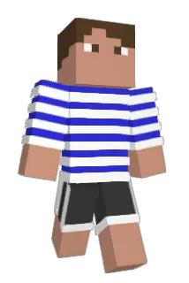 stevekochavi Minecraft avatar full body